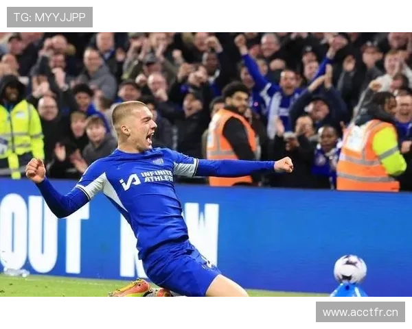 恩佐费尔南德斯英超适应性与战术适配分析